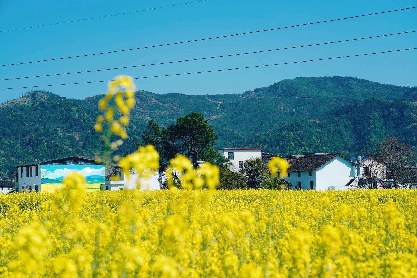 00000000uipiaKCOoSZdPBLj