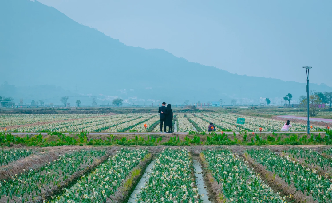 00000000utiSZJzgCkGWwFUW