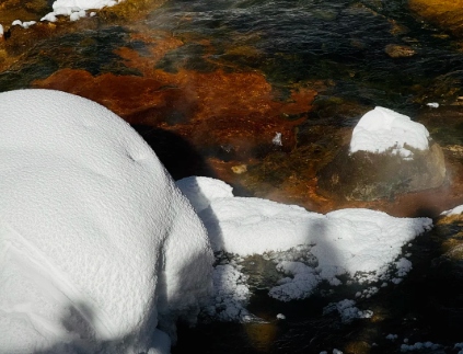 00000000veSREQevTXtufsaR