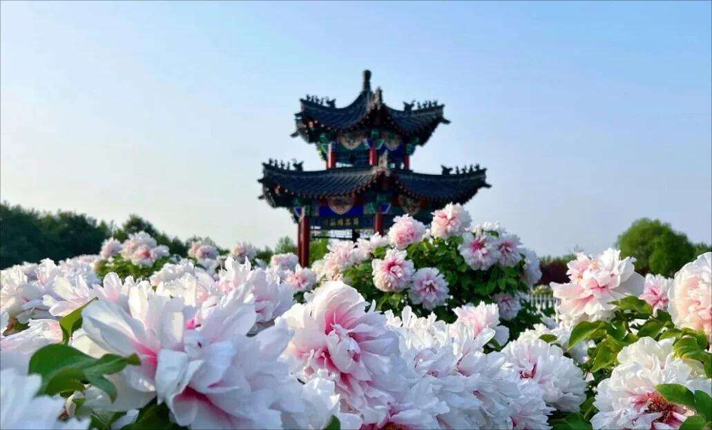 00000000vkJGsVOMYwVjeuPm