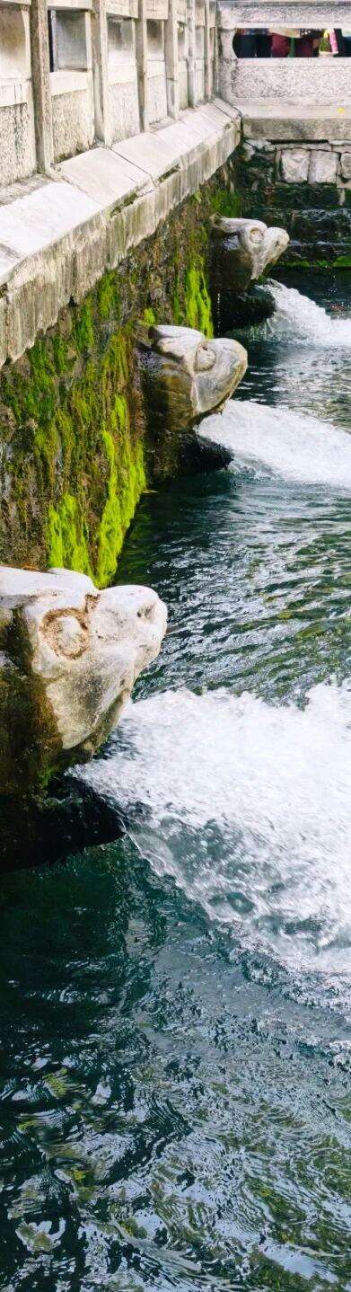 00000000wCTcbaMloFNnvvYa