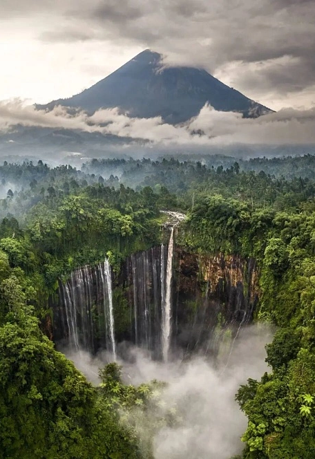 00000000wJzltzYeJMoPMfJC