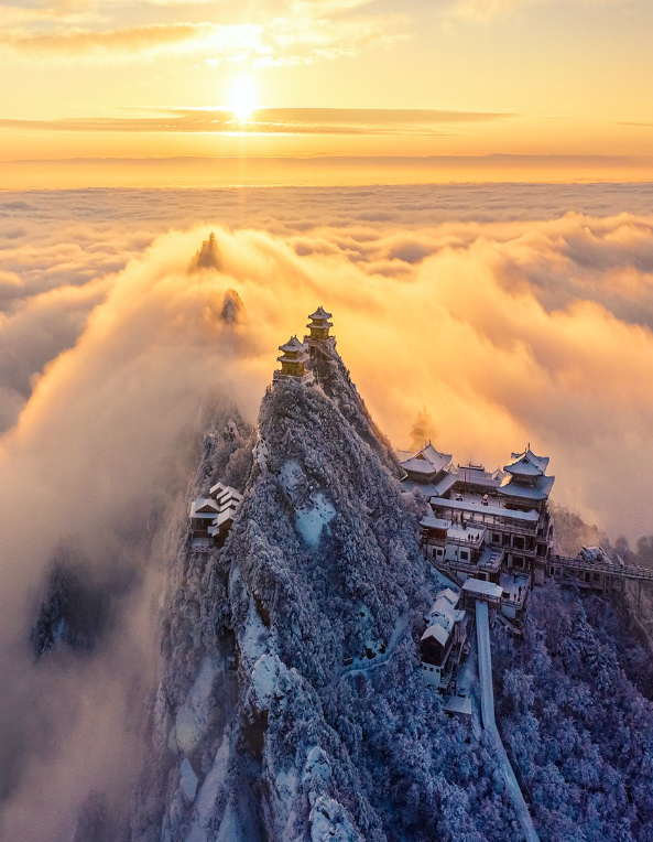 00000000wSPtJRlGihMAzddr