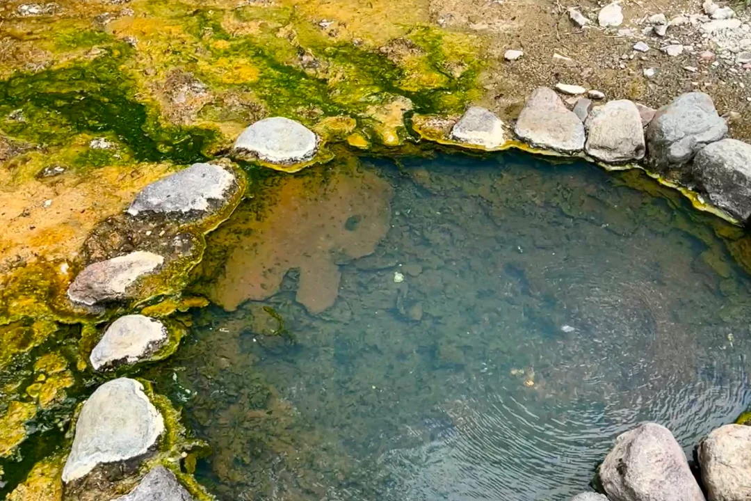 00000000wYjaCGIlAAHQKfYr