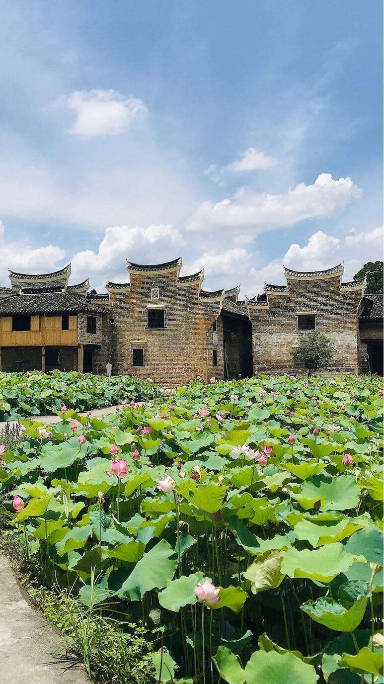 00000000xJtDFrxtClkuKBjX