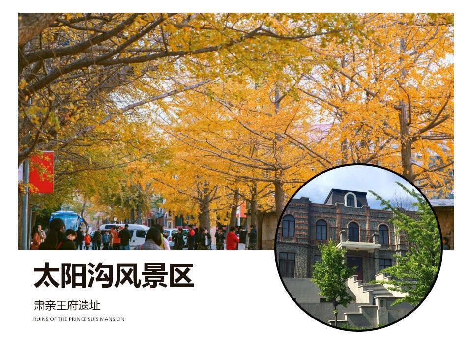 00000000xShFQpZDLemsGePH