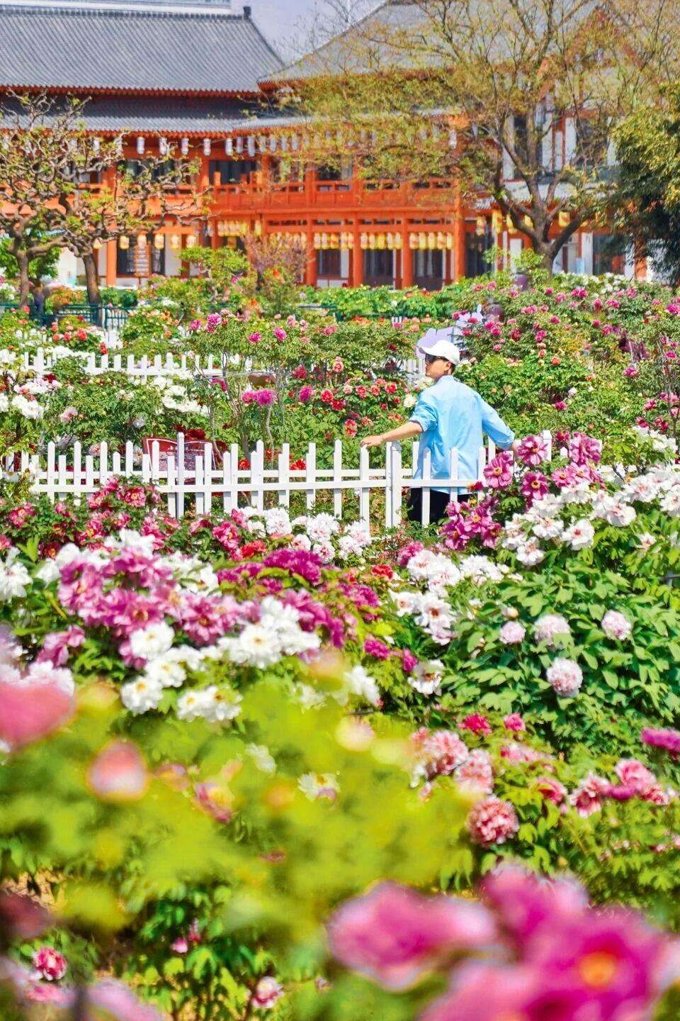 00000000xdvrTmdwezELUayp