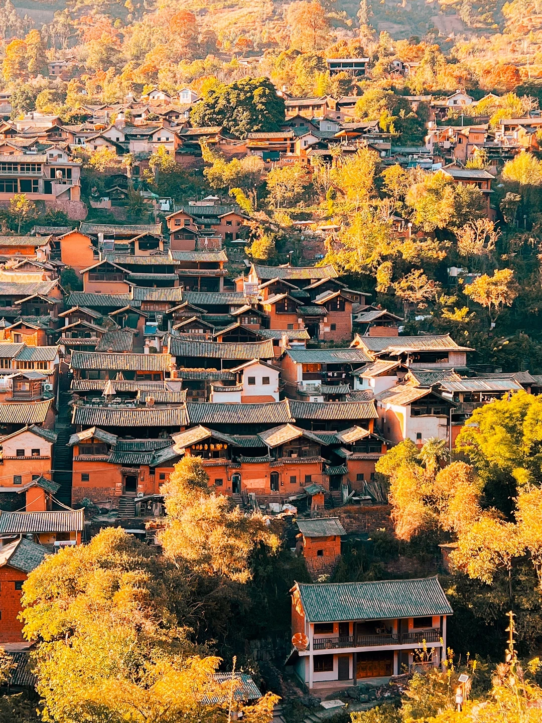 00000000xgnpxCfIhmgDabcr