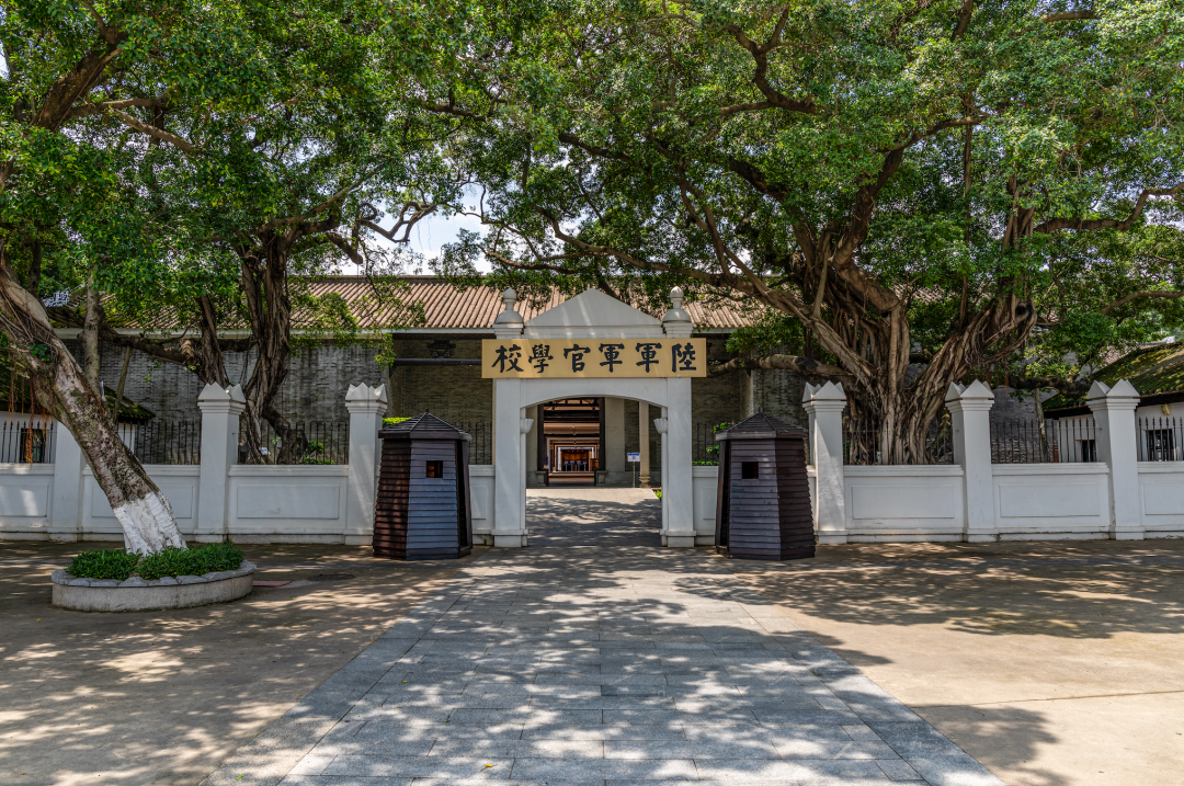 00000000xhGDnTAZCfNWBaxs