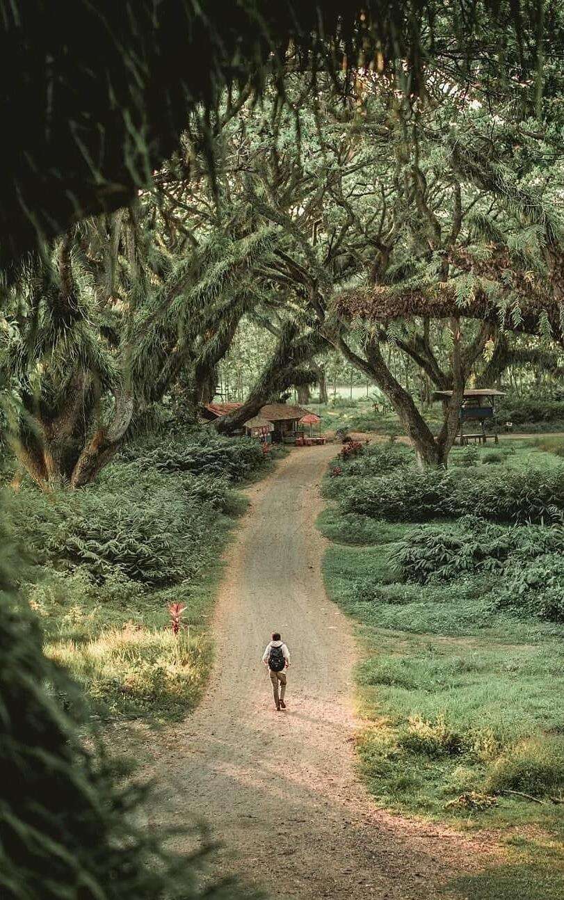 00000000xhsMGpQyGhgzxLVY