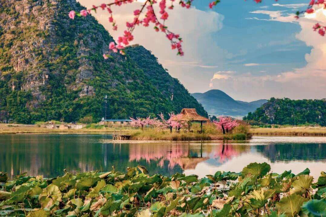 00000000xkuJefXQmZgAeJHx