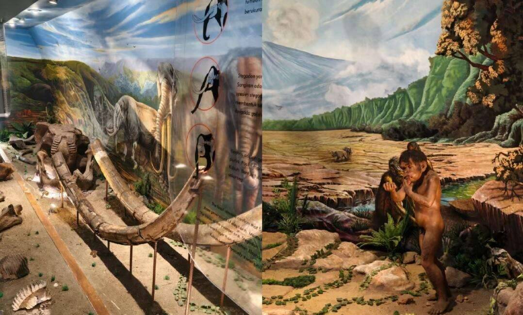 00000000yjEwhAZbOWIZjoVe