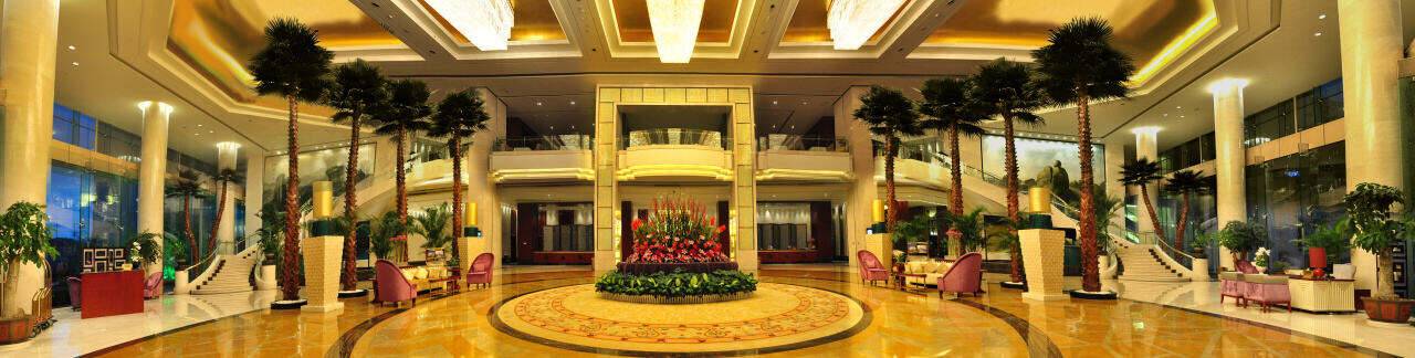 00000000ykgsFTcnXnpSNUmT