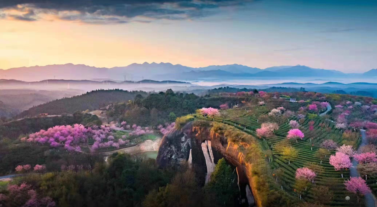 00000000ymxWXkAFmbMVGlqa