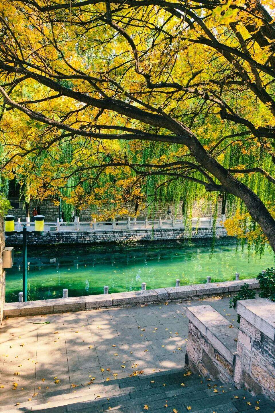 00000000ytHfFddgAfeUaTYz