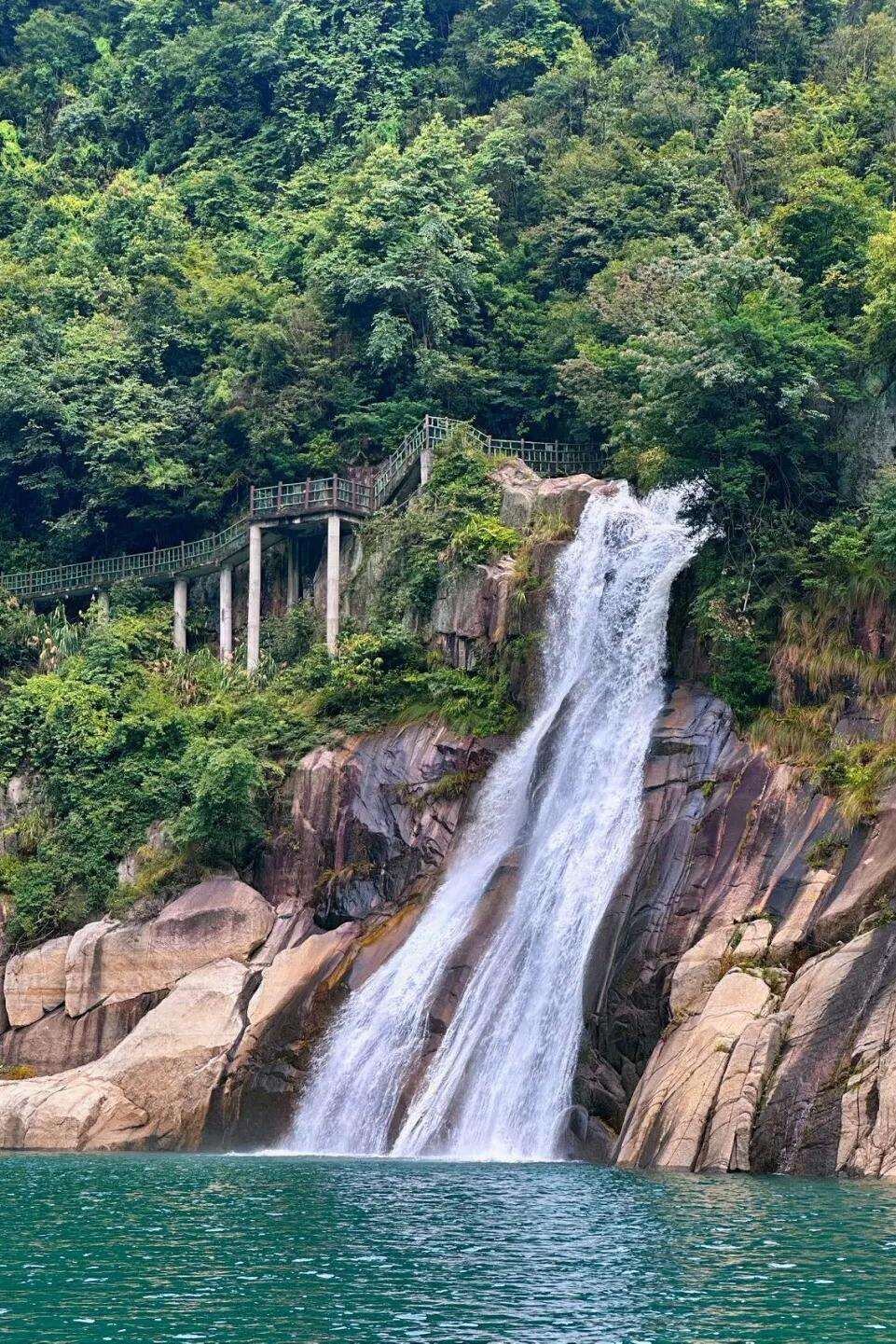 00000000zCIbIbilnwKPYjzD