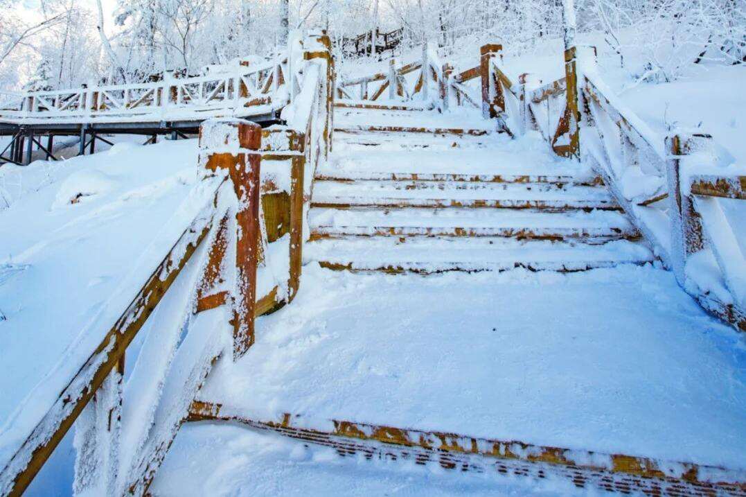 00000000zCsbvLZVSwPaKCir