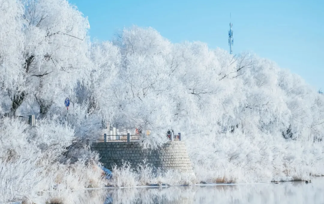 00000000zIcWAYusvCAEWyPj