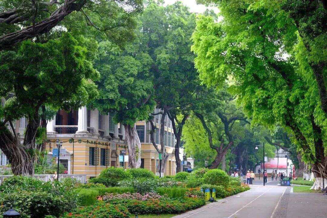 00000000zOVgqUvkvifaCsrk