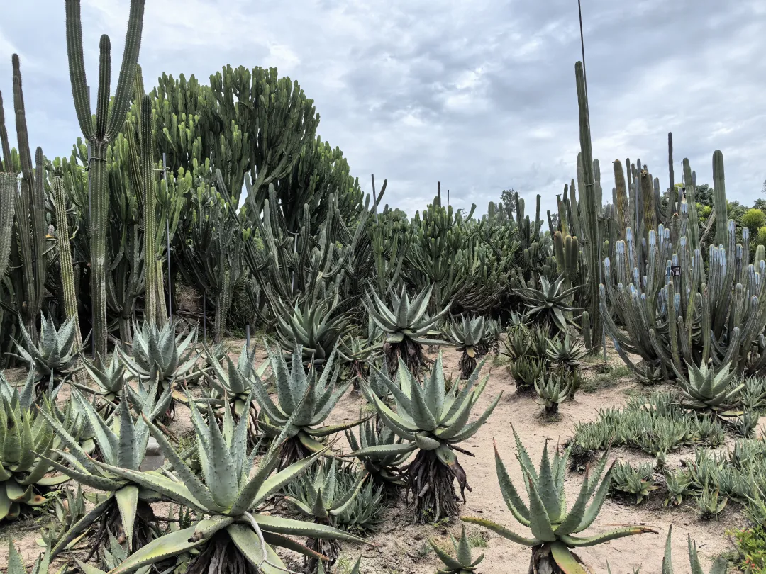 001b1f0cc714a03e3e7c7c708876ddf5-sz_6501190-1