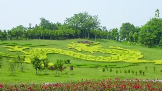 005c8c41346caffafc69f0abc6d81c69-sz_282937-1