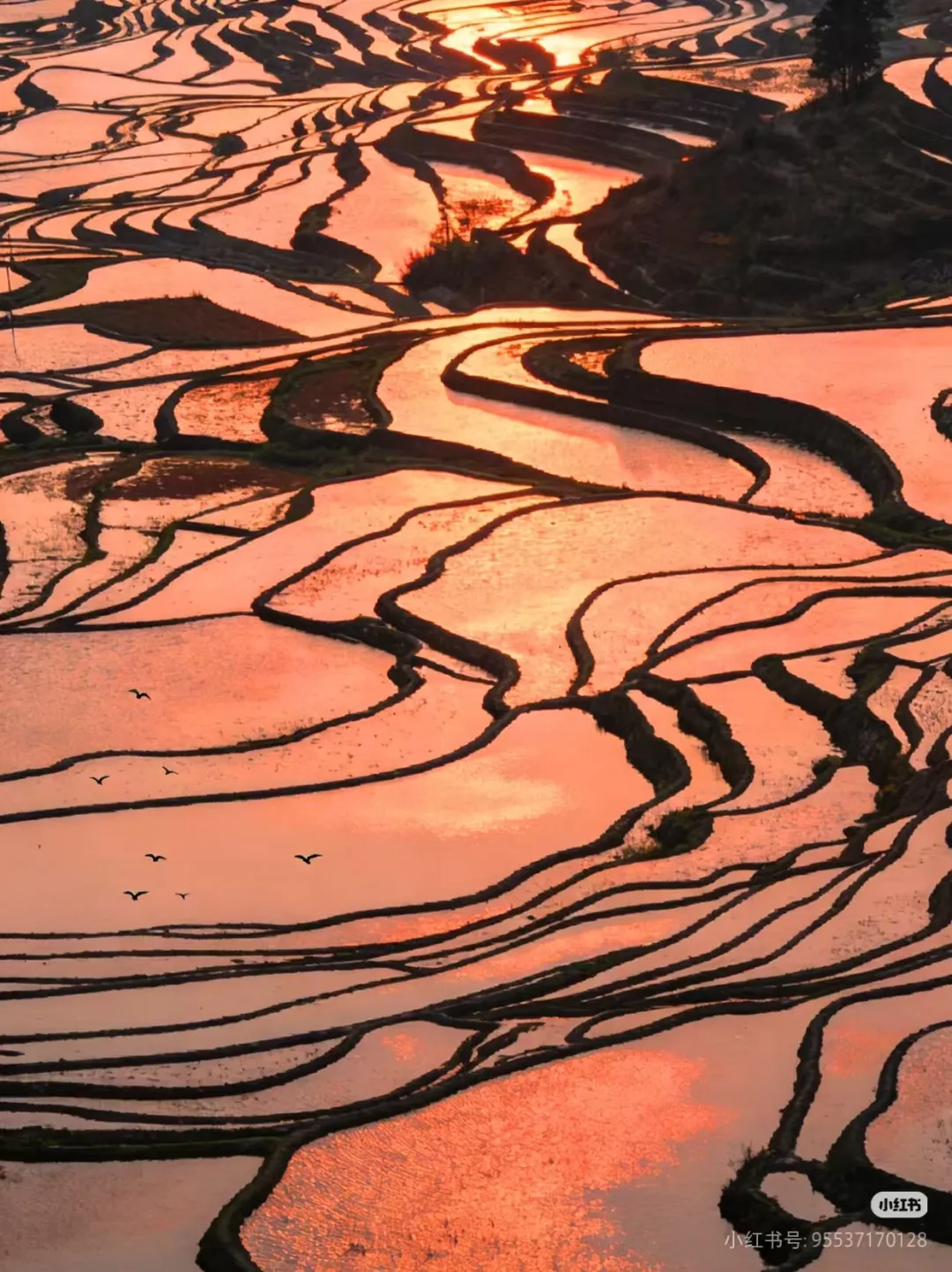 0063db17337adc573b001891b020b250-sz_1271591