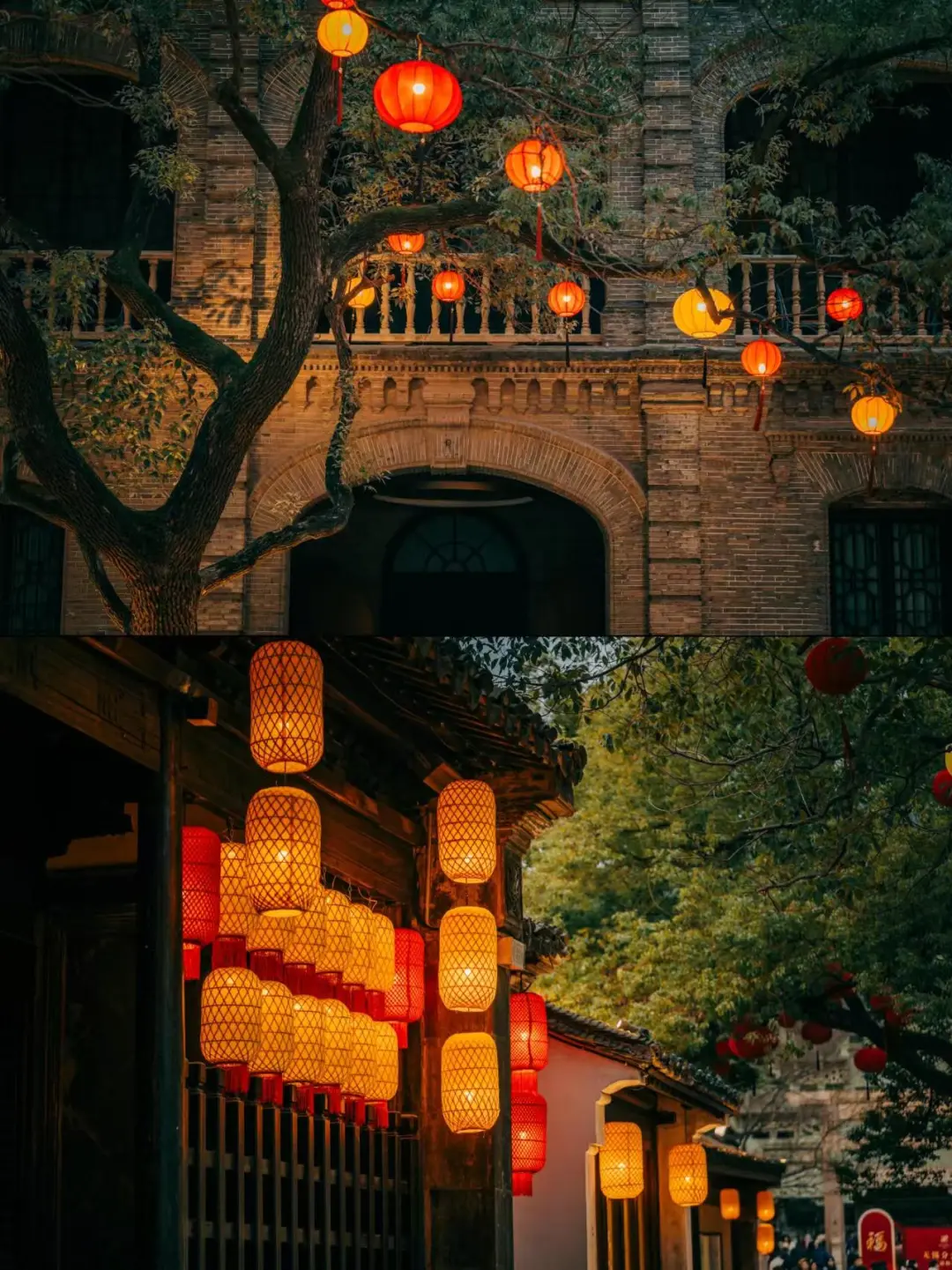 00742b39fdd7a95a8b1f378b859a20cf-sz_361815