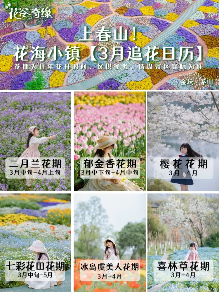 00a48e678540f5fa53c841f95842b029-sz_2379562