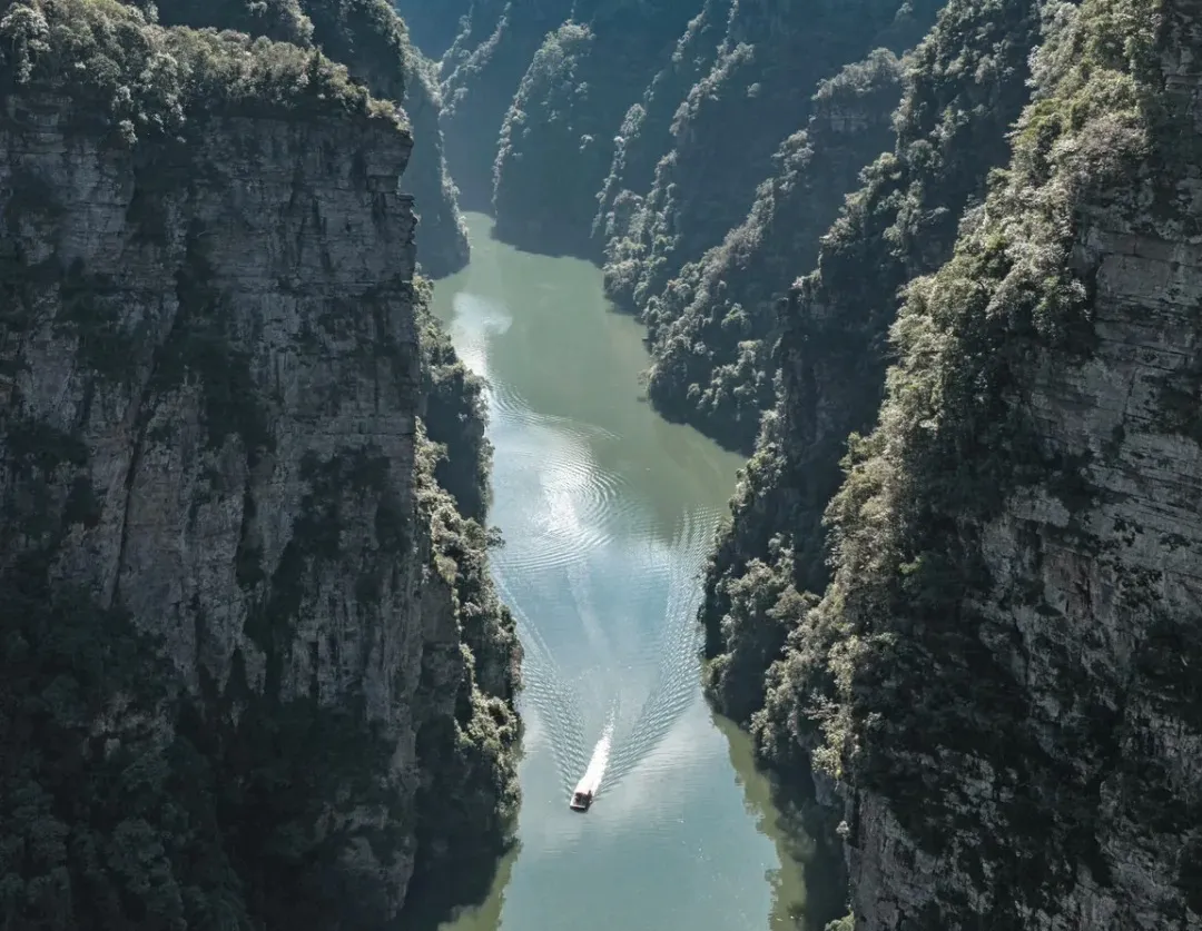 00df6a239eb025c03e2cf72a06322700-sz_467047