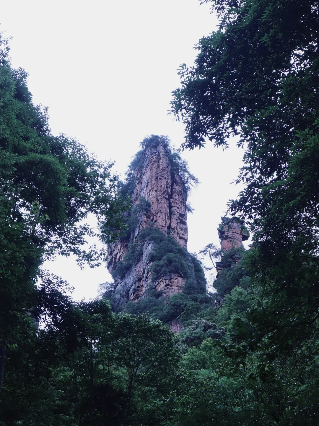 00ed51c0d737e5d3f978f1c5f712a1cb-sz_3448294