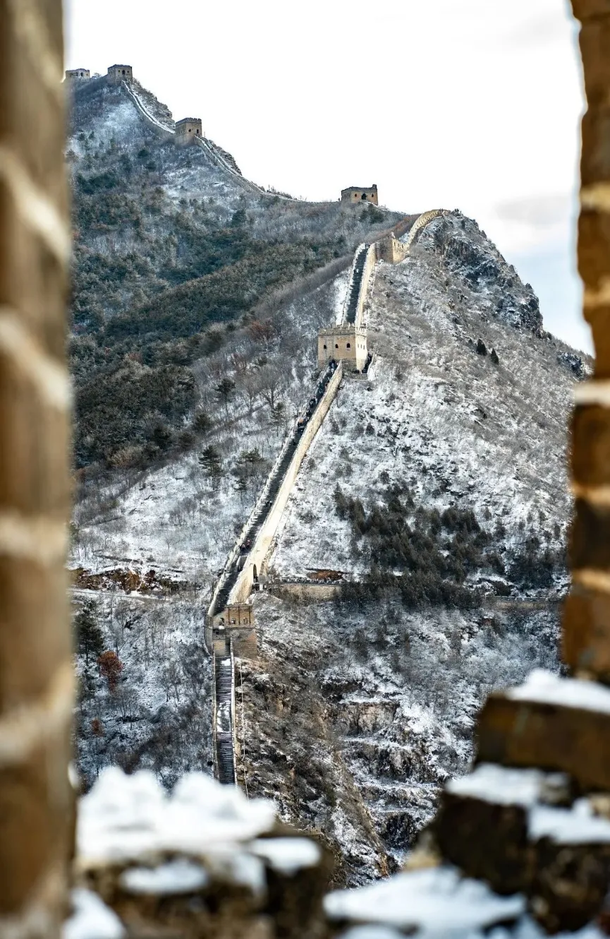 00f20a20a5420ad0201157d72ca409bd-sz_798652-1