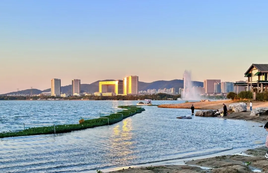 0100f70106a4f6db965617f6c74066b0-sz_316475