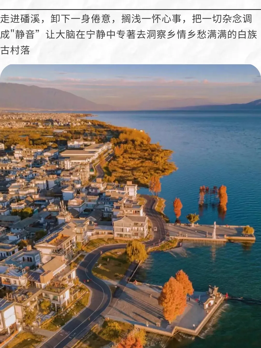 01118e48afb81d531bf1267c46989e29-sz_324683