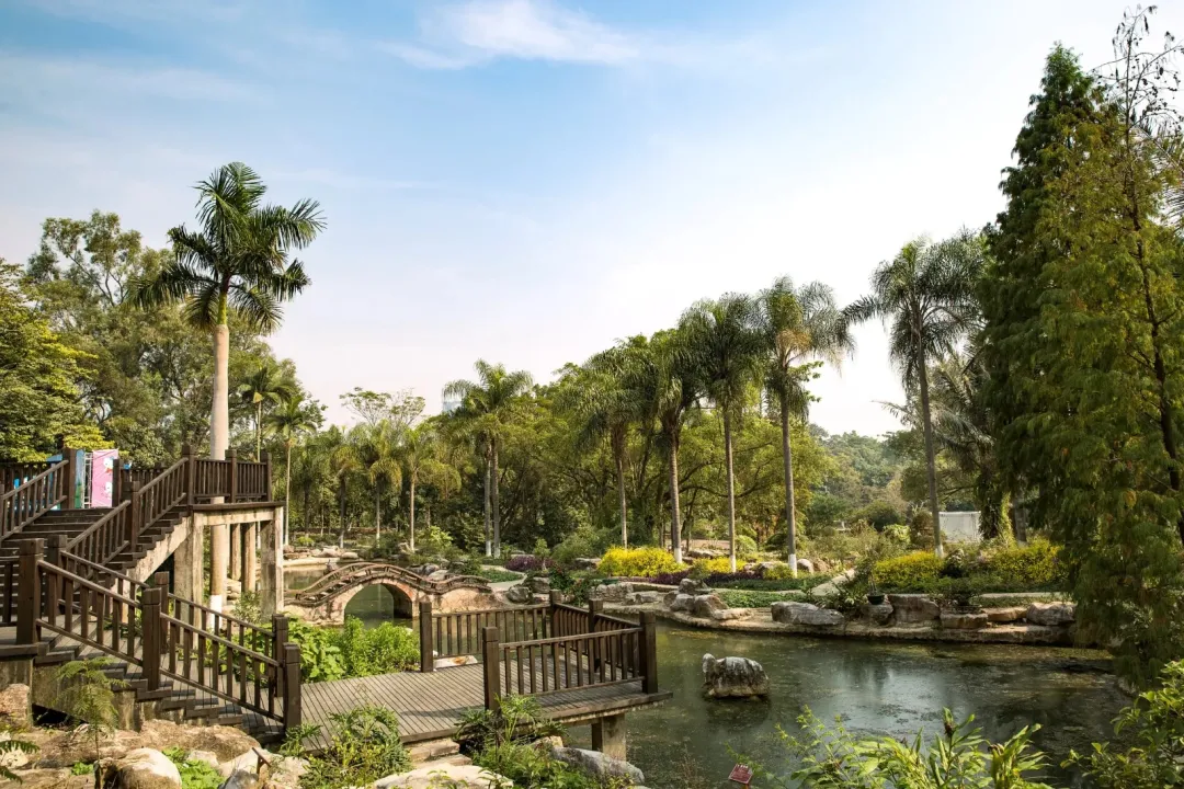 0117394ad0ec481671a6eefe2e3a6b0a-sz_1314824