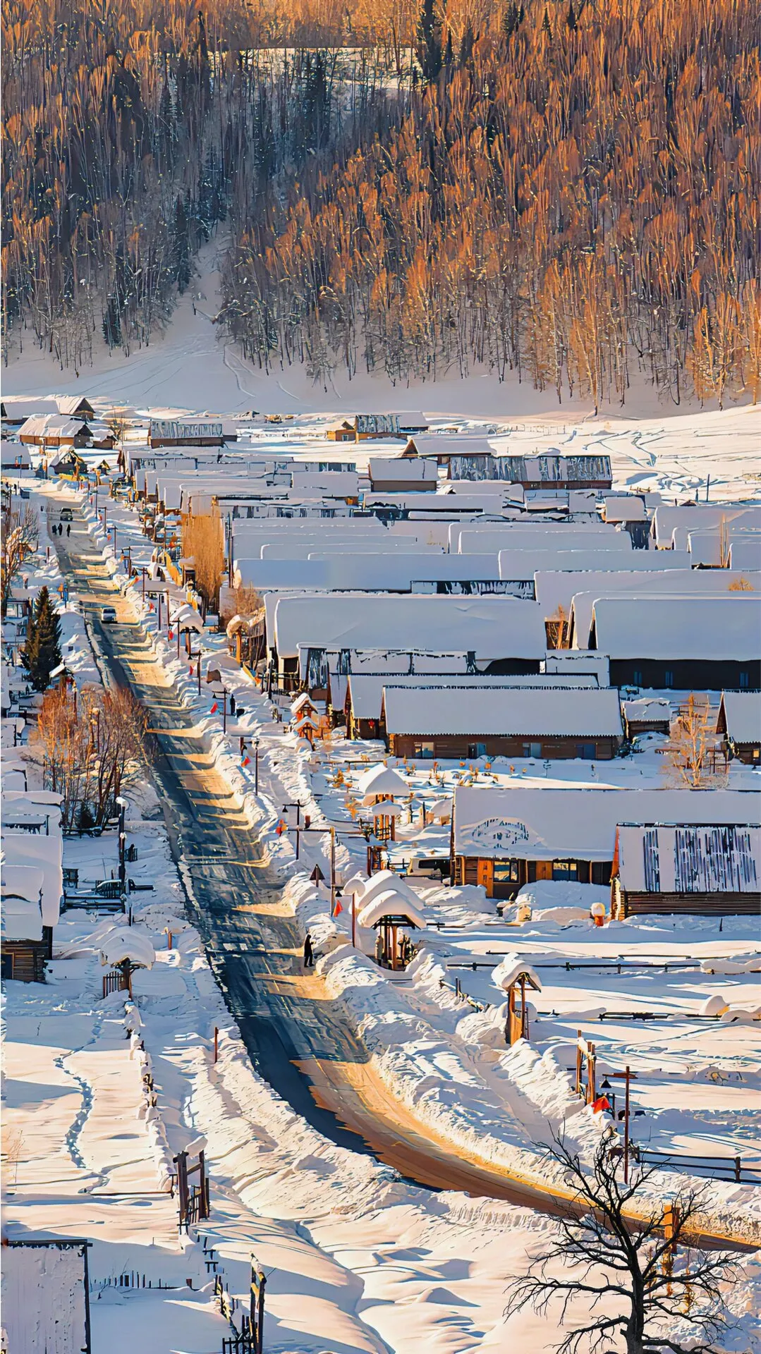 01a913d1a555582ab4dc27d021ed4c83-sz_660677