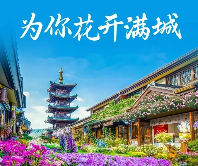 锡2-踏春首选！“为你花开满城”超值无锡三日游【拈花湾夜景+飞马双夜景399】宿当地四花酒店！金匮公园+拈花湾赏花！赠2早3正餐！享特色美食：免费棋牌！