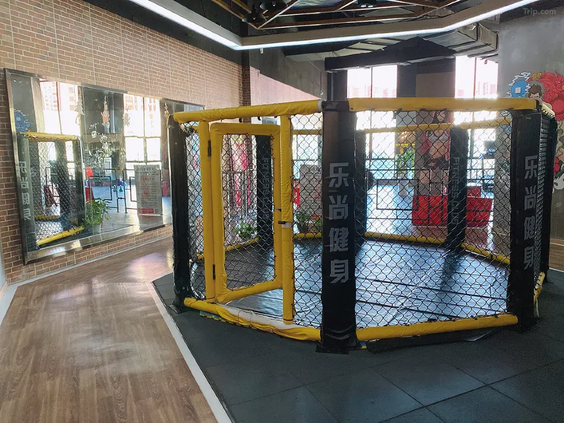 02006120008esyf958DE3_W_1280_853_R5