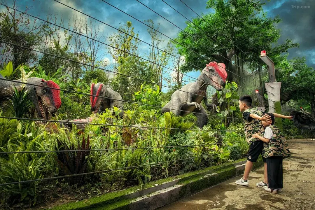 0204a1200093lflycF3B7_W_1280_853_R5