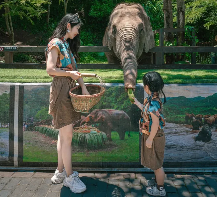 0216e52aee07348bba5958469d0d8dd8-sz_1300022