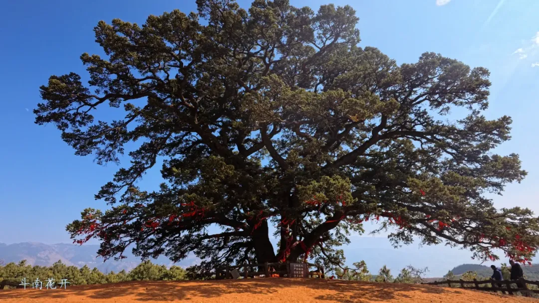 022bf0eaafa541ad1ecfa368f18d54e7-sz_1644345-1