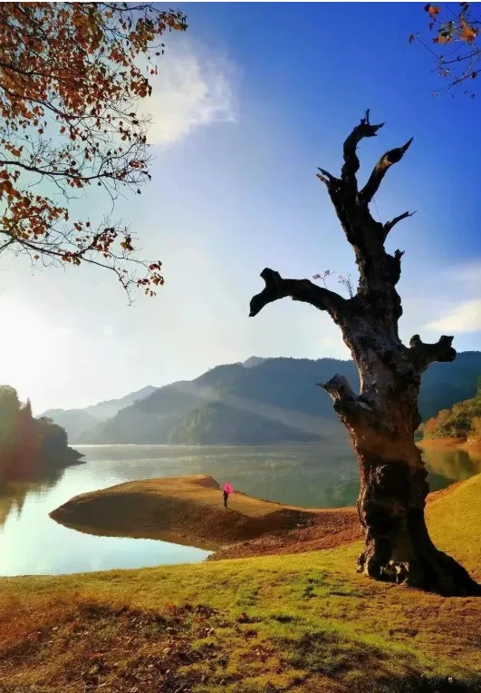 026d1adc72bc1fc108c7755251bded9d-sz_890345