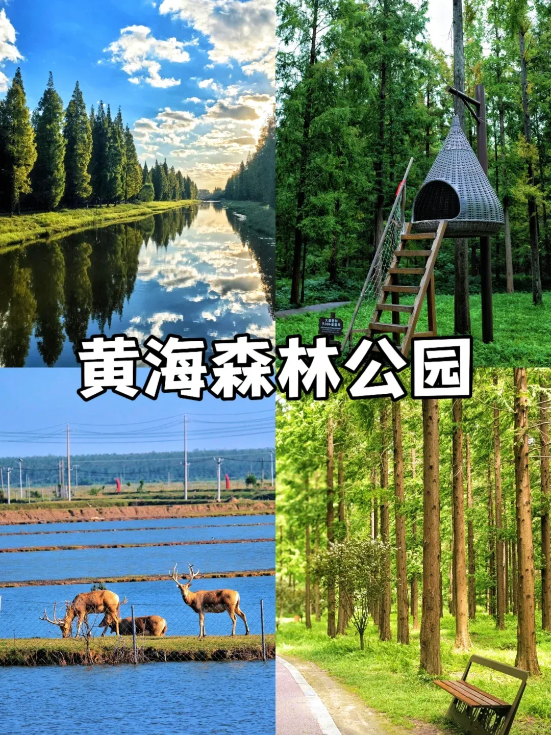 027ad82b72046a709ed8a2d15d3479d9-sz_3848618