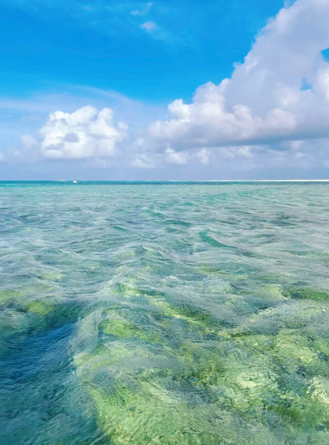 02898da73c9945ea91979f43f9e03dcf-sz_1541389-1