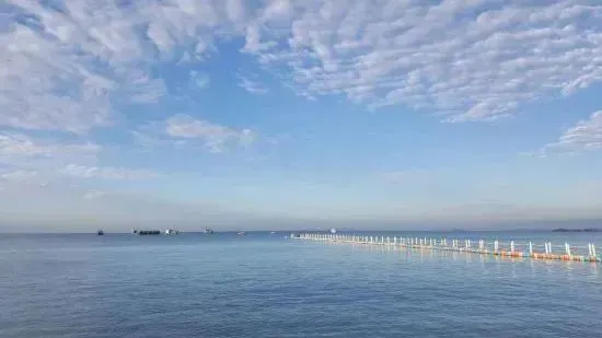 028b5fcb0bb4945e69c437a1556a08ad-sz_20003-1