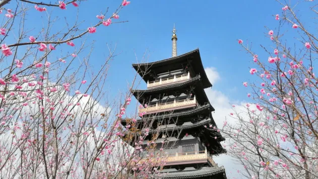 029b30454a2d33aa2cdc8e058f92d1c8-sz_483019