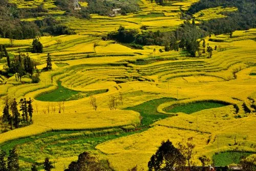 02aa1d0e0dc6c25094b8515c8987c863-sz_56381 02aa1d0e0dc6c25094b8515c8987c863-sz_56381