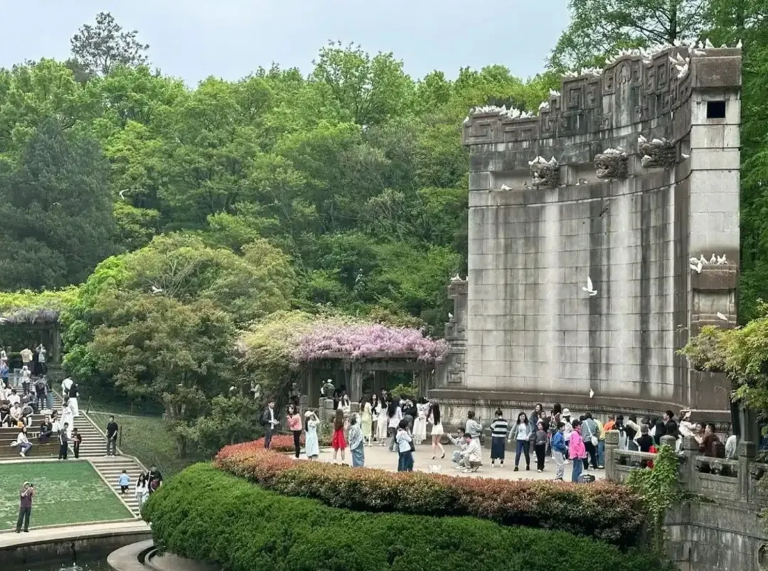 02d9246cd0dfaa81b5c6b7865be0668f-sz_1137677 02d9246cd0dfaa81b5c6b7865be0668f-sz_1137677