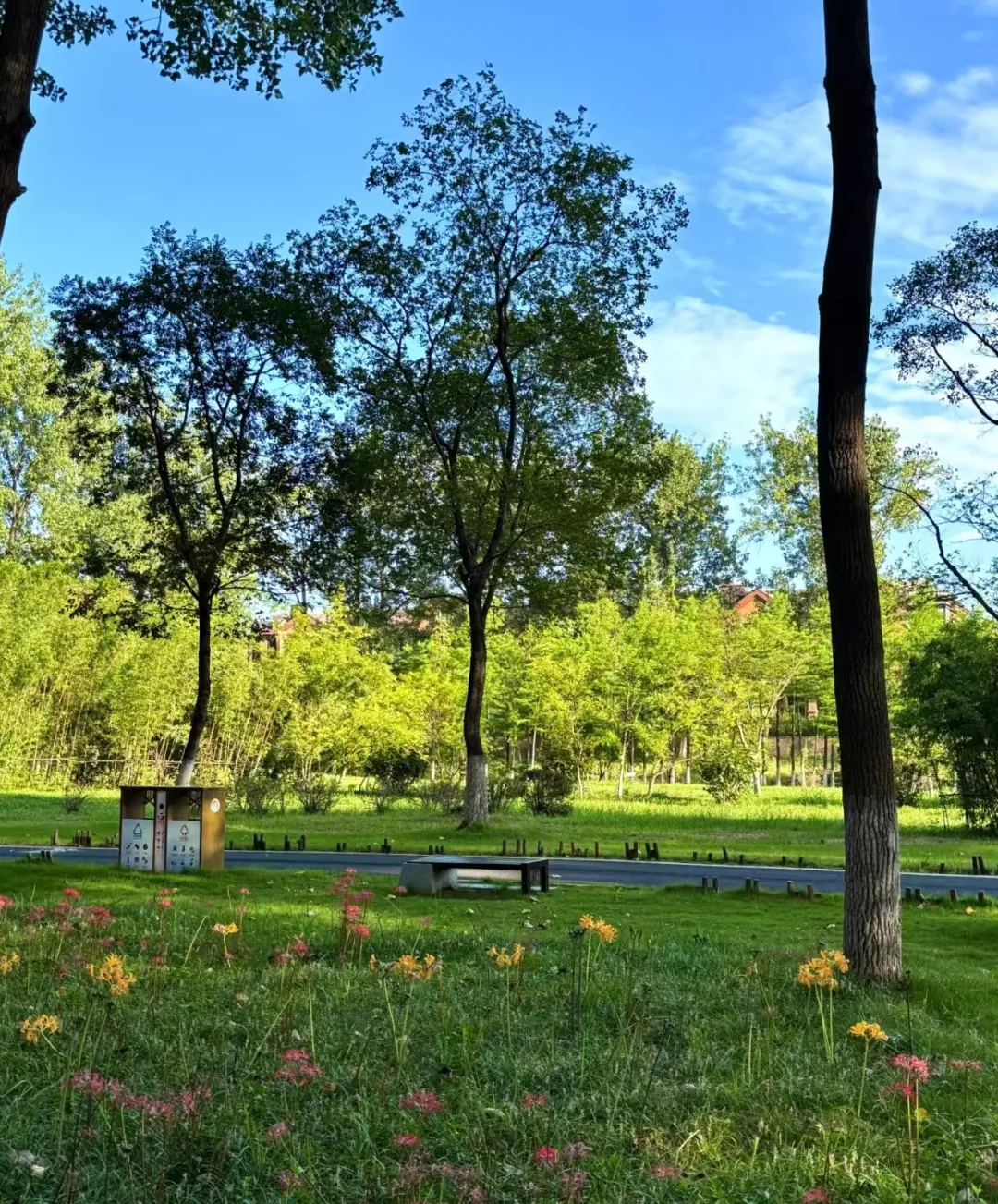 02e2b9efa630563ef4dd3198190f8d7e-sz_1858627