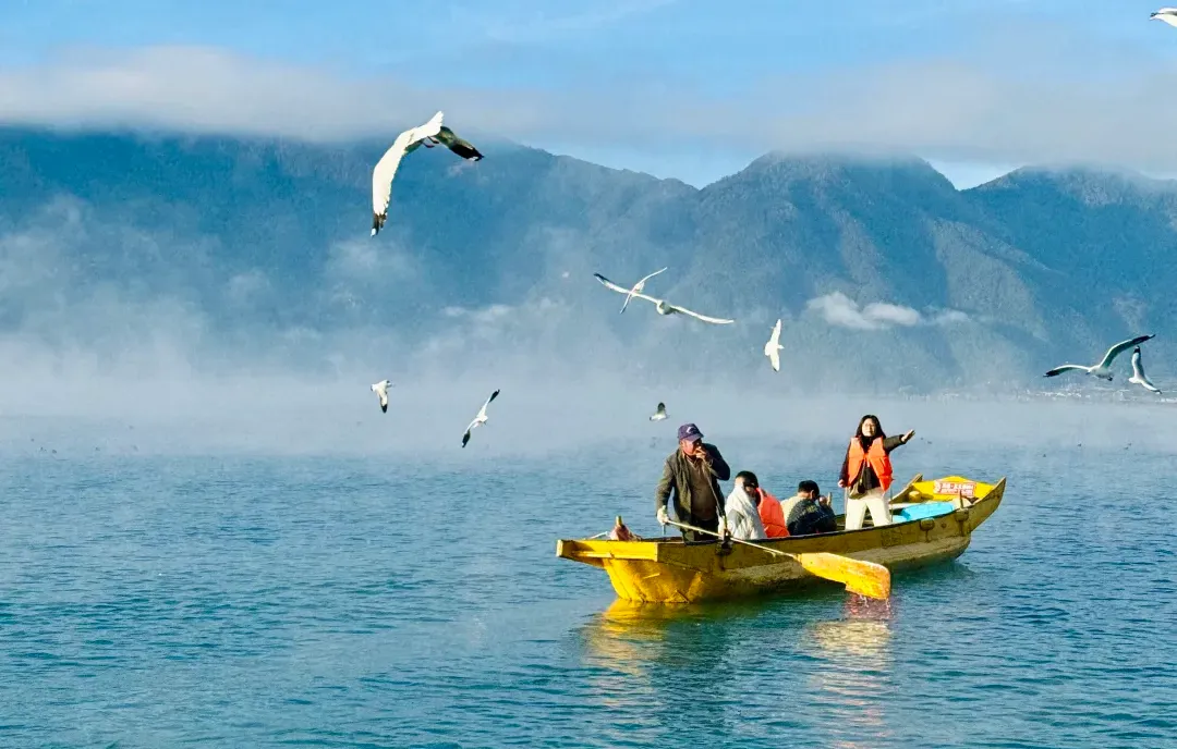 02f30ceb02d055145b783a79eb48aabe-sz_1974090