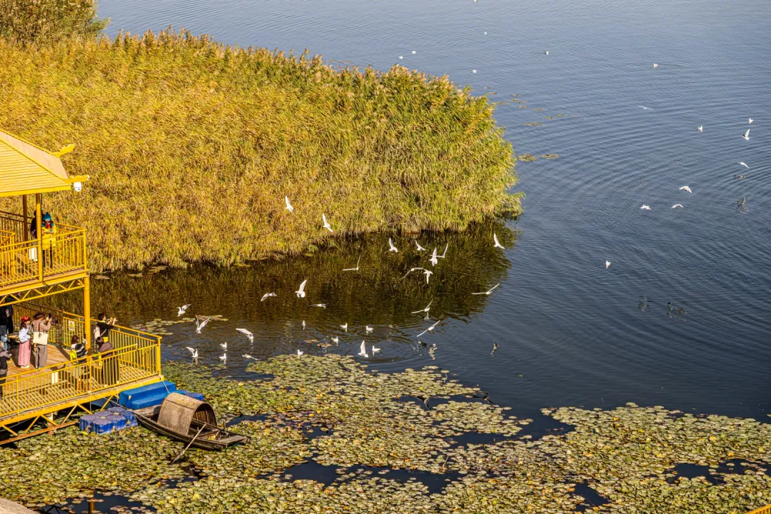 02faa26411c162c23d522806b7de45a3-sz_4103202